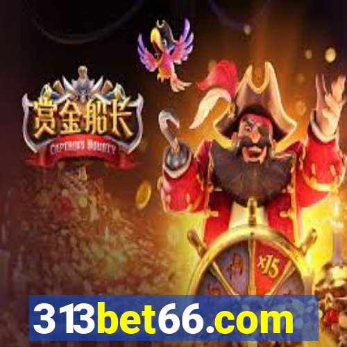 313bet66.com