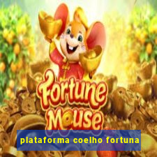 plataforma coelho fortuna