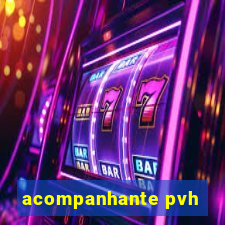 acompanhante pvh