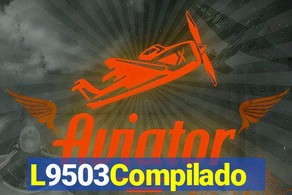 L9503Compilado