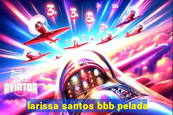 larissa santos bbb pelada