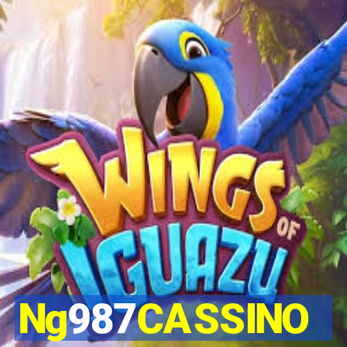 Ng987CASSINO