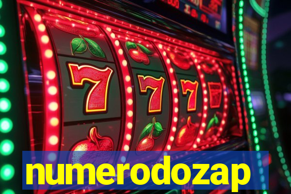 numerodozap